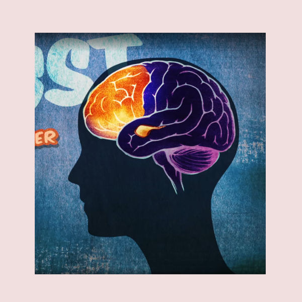 Terra X: Gehirn (Copyright: ZDF)